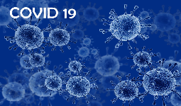 COVID-19 – новая коронавирусная инфекция